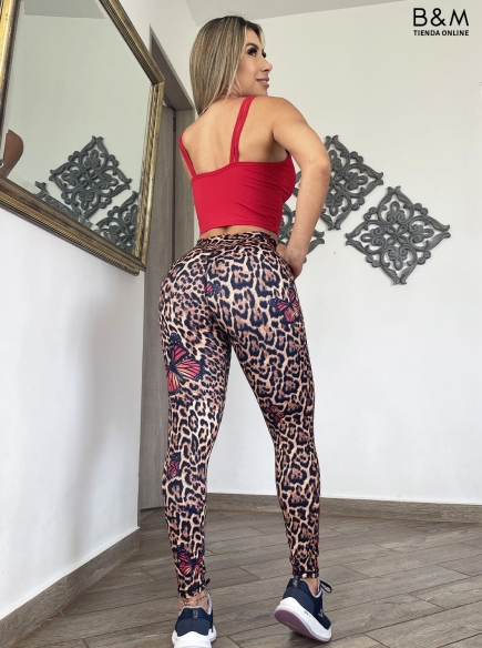 Conjunto Radiante 964